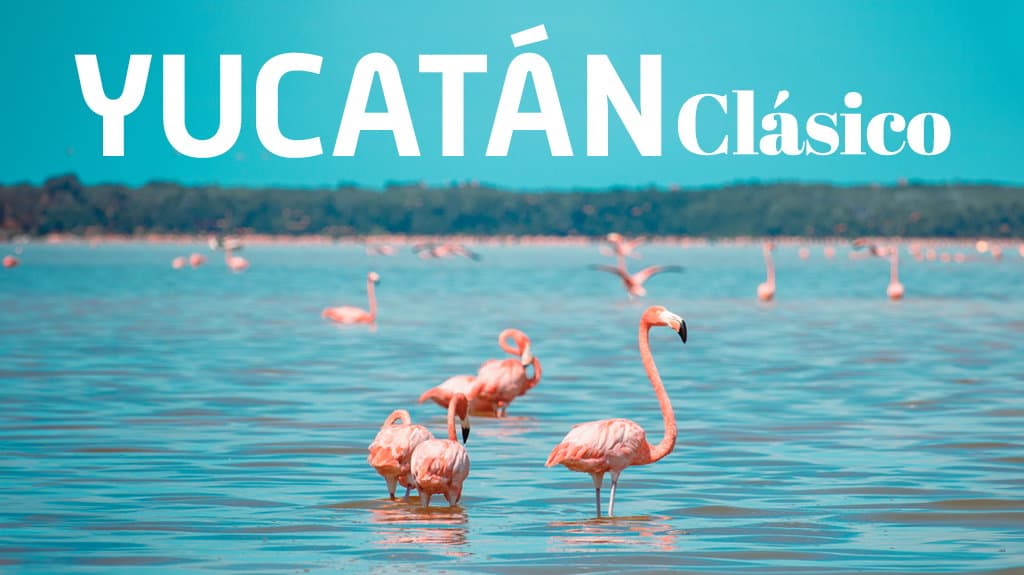 Yucatán Clásico