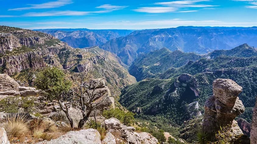 Tesoros de la Sierra