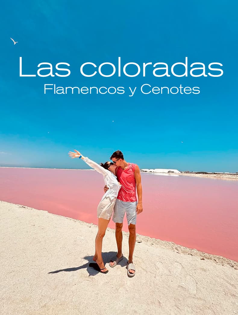Las Coloradas, Flamencos y Cenotes
