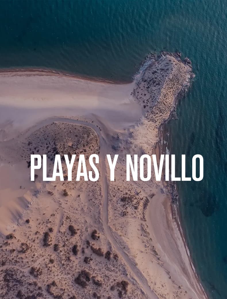 Playas y novillo