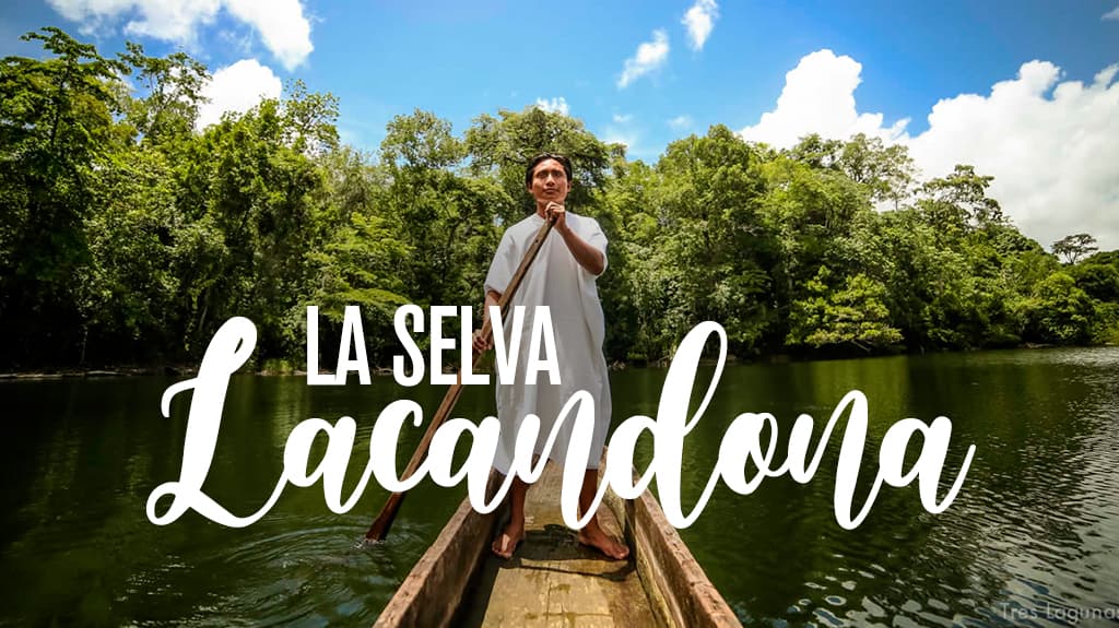 La Selva Lacandona