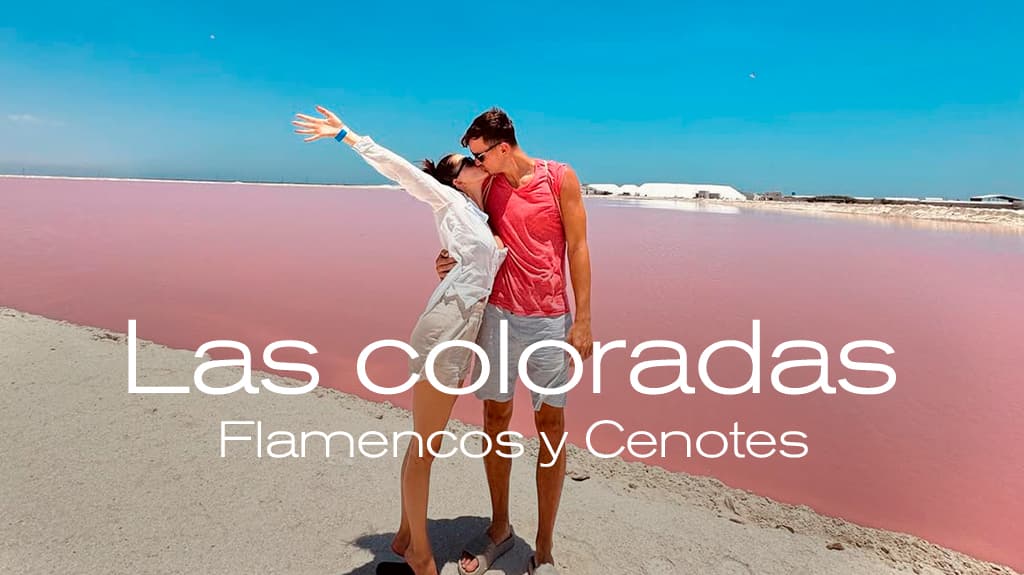 Las Coloradas, Flamencos y Cenotes