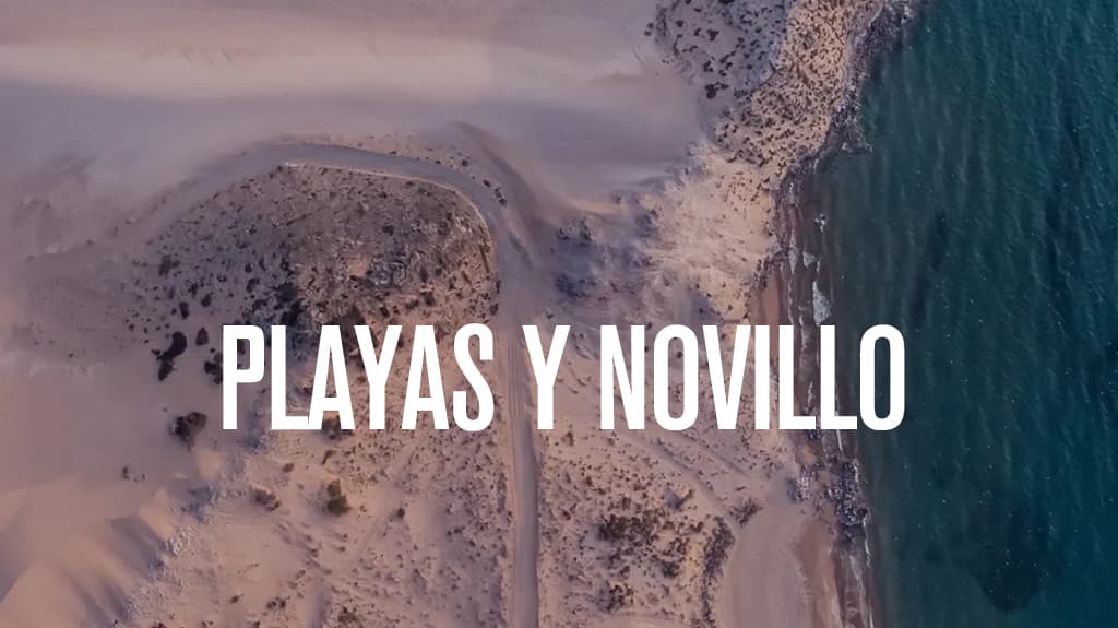 Playas y novillo